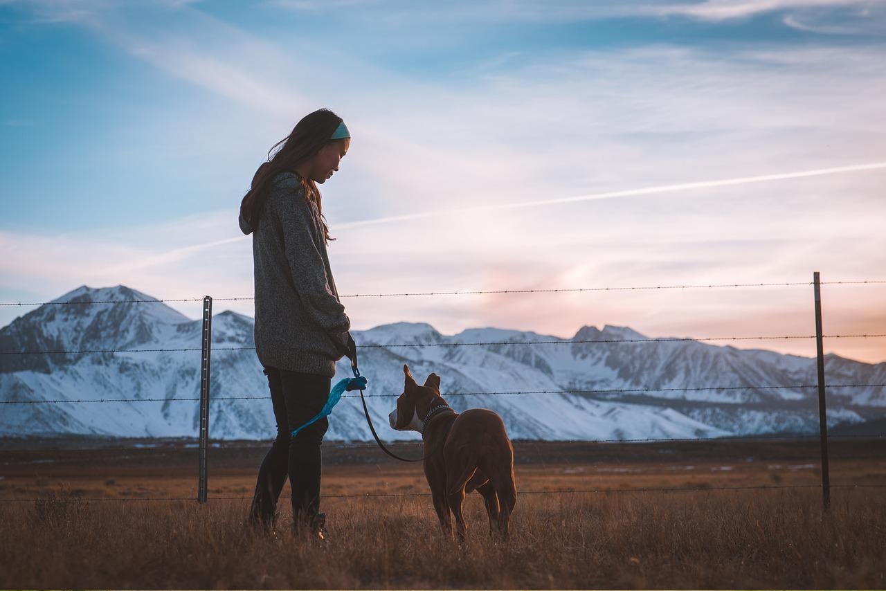 cane a passeggio con padrone