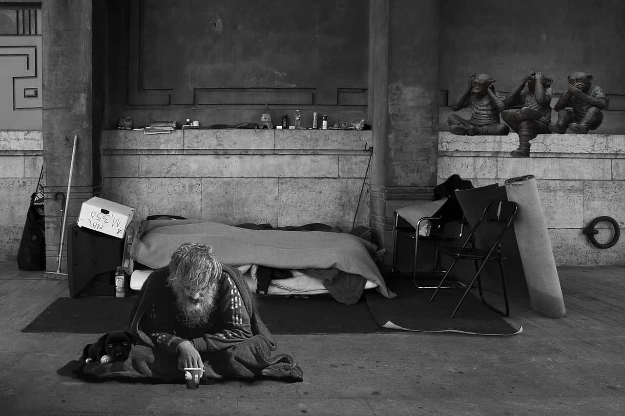 Un senzatetto e il suo cuccuiocanelo.