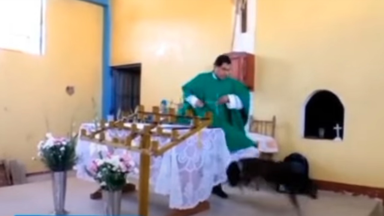 Perù un prete prende a calci un cane a messa