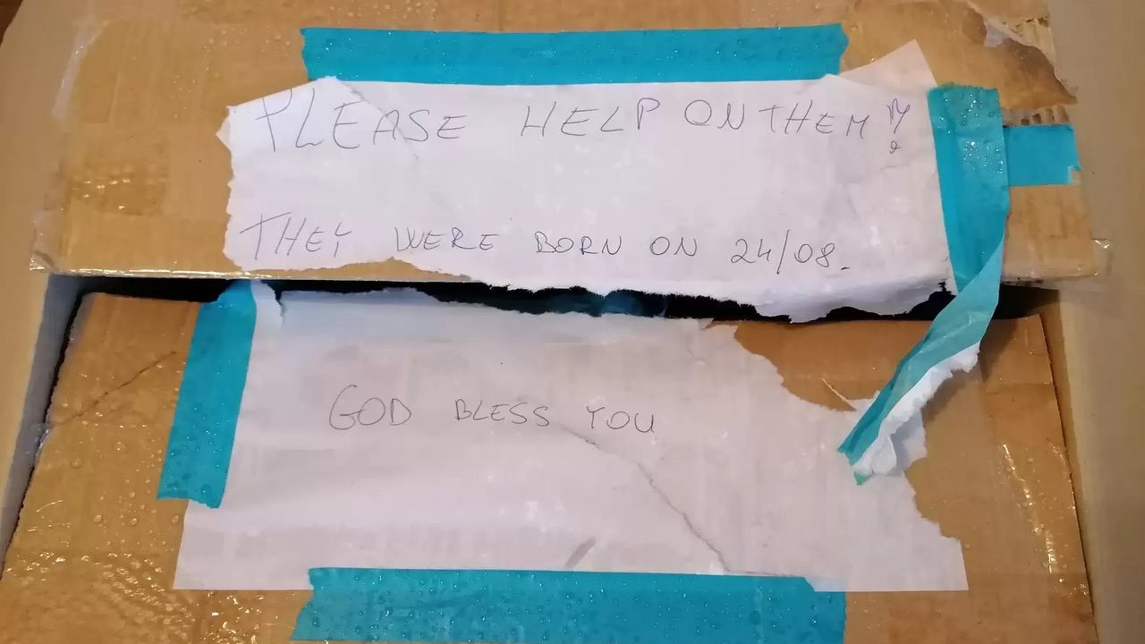 Per favore aiutali! questa è la scritta su uno scatolone abbandonato davanti al rifugio