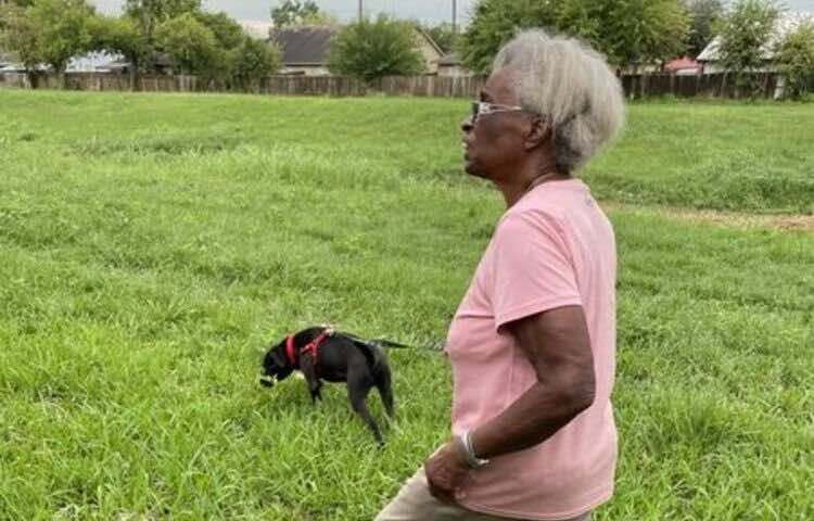 Anziana si sente male per strada il cane rimane al suo fianco