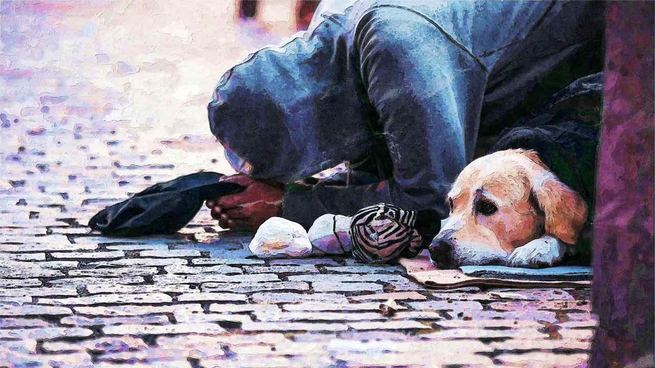 Cane raccoglie cibo da portare al suo anziano padrone senzatetto