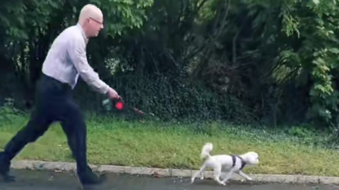 Divertente video di un uomo che porta per la prima volta a spasso il cane!