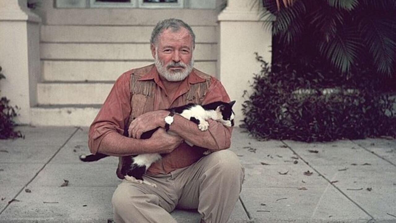 Ernest Hemingway e uno dei suoi gatti polidattili