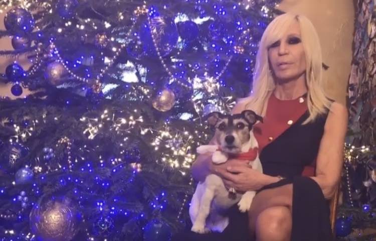 L’amore di Donatella Versace per la sua cagnolina Audrey