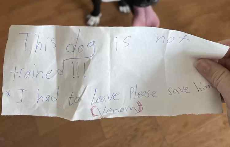 Lettera lasciata con cane