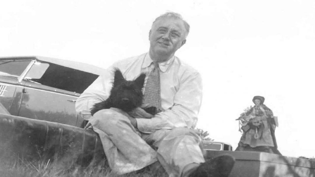 La Meravigliosa Storia Del Cane Di Roosevelt Che Dovete Assolutamente 