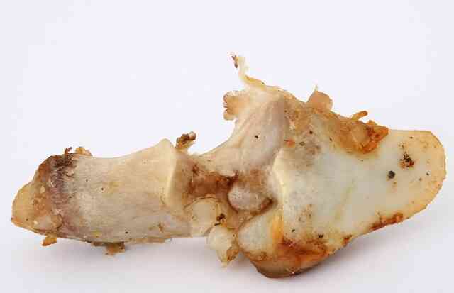 ossa di pollo