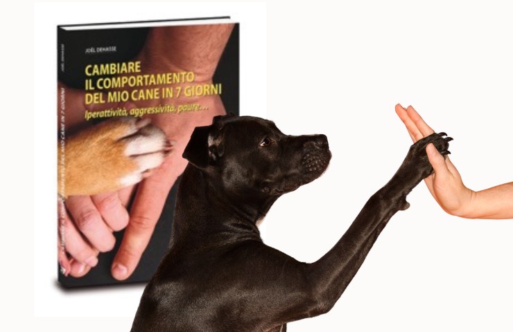 libro per cambiare comportamento cane