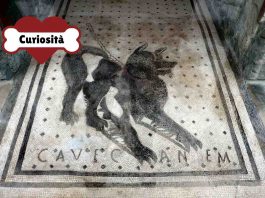 Cave canem