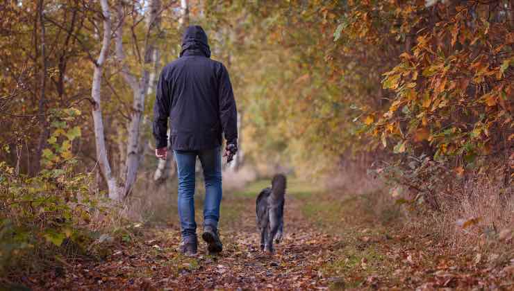 Uomo passeggia in autunno accanto a un cane non più randagio 