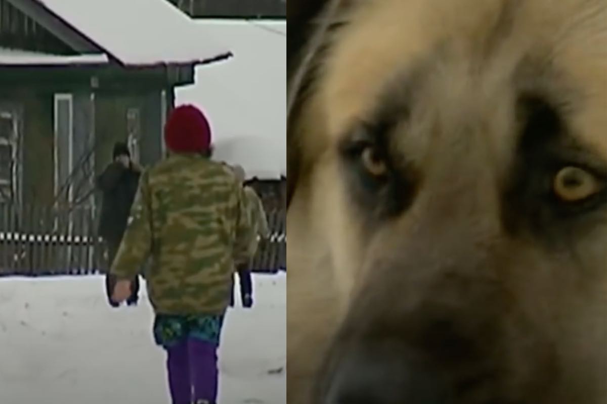 Sguardo di un cane preoccupato tra la neve