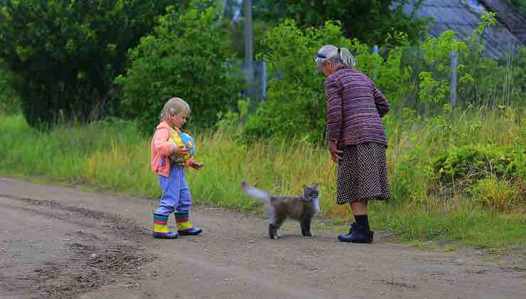 Gatto fa una passeggiata in strada con la sua famiglia 