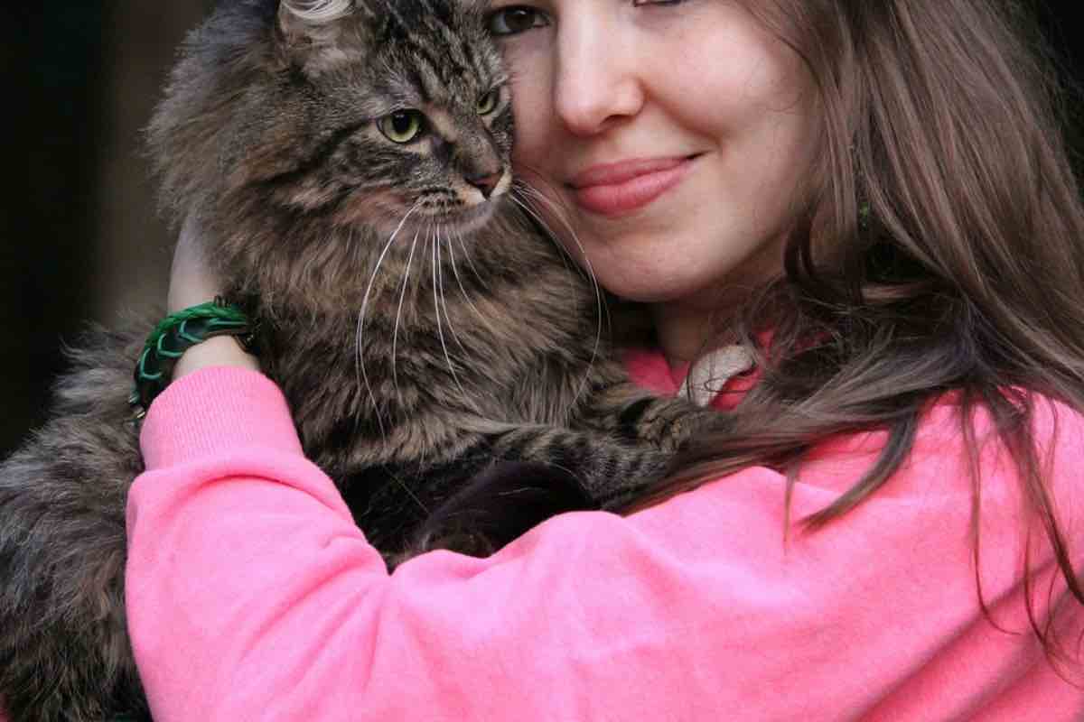 Umana chiede scusa al gatto con un abbraccio