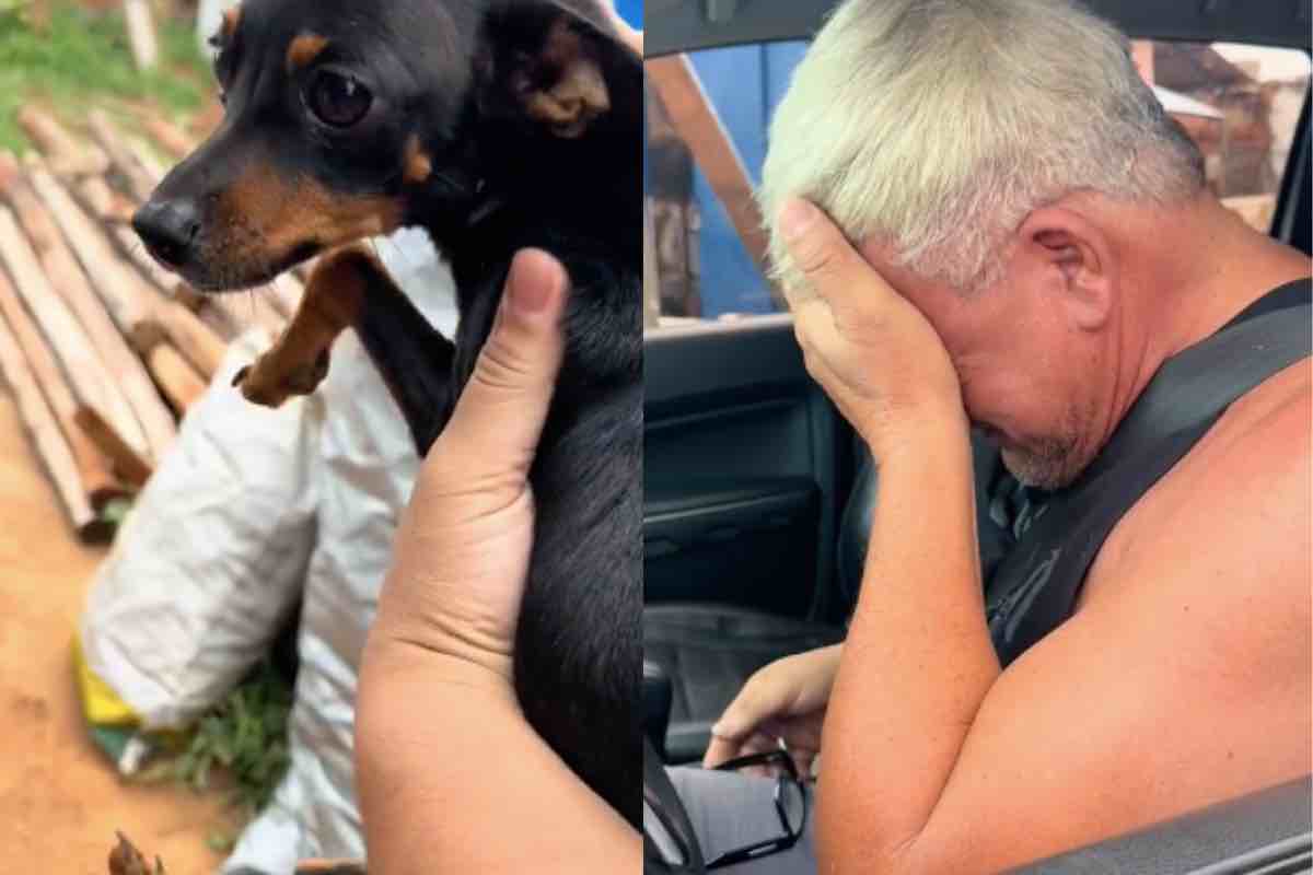 La cagnolina Teresa torna dopo 1 mese tra le braccia del suo commosso papà