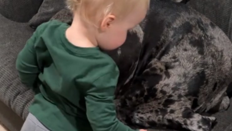 bambino abbraccia il cane ogni mattina