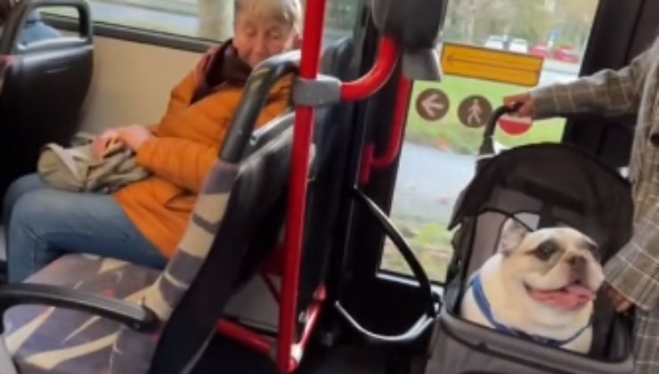 cane parla con le persone nell'autobus