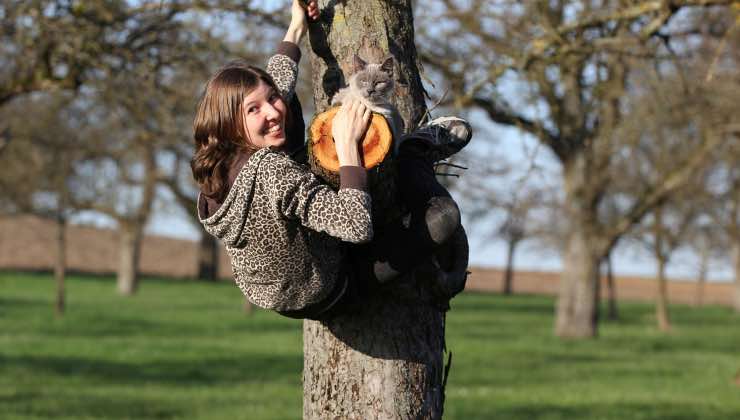 Donna su un albero mostra come giocare insieme al suo gatto 