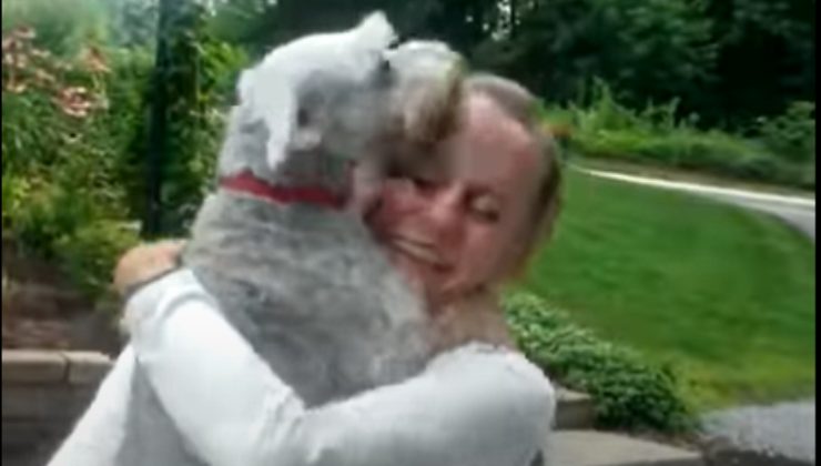 L'emozione del cane nel rivedere l'umana dopo due anni