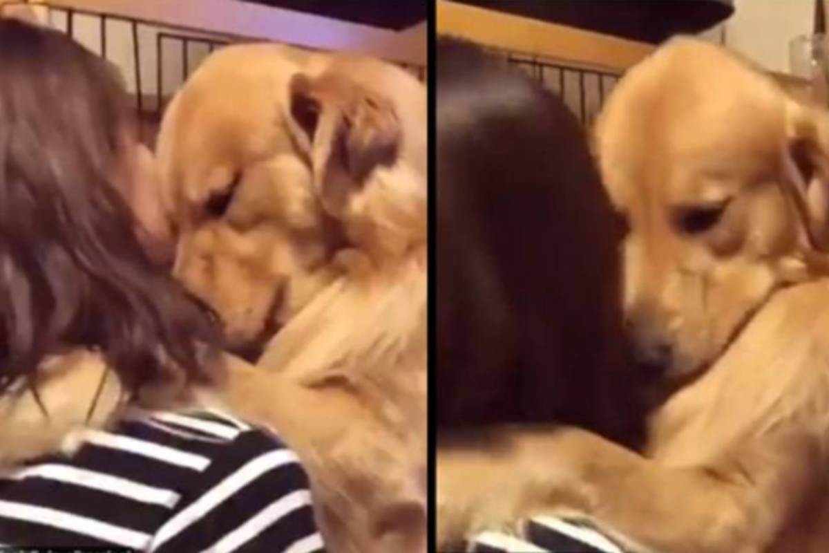 cane emozionato per essere stato adottato abbraccia la donna