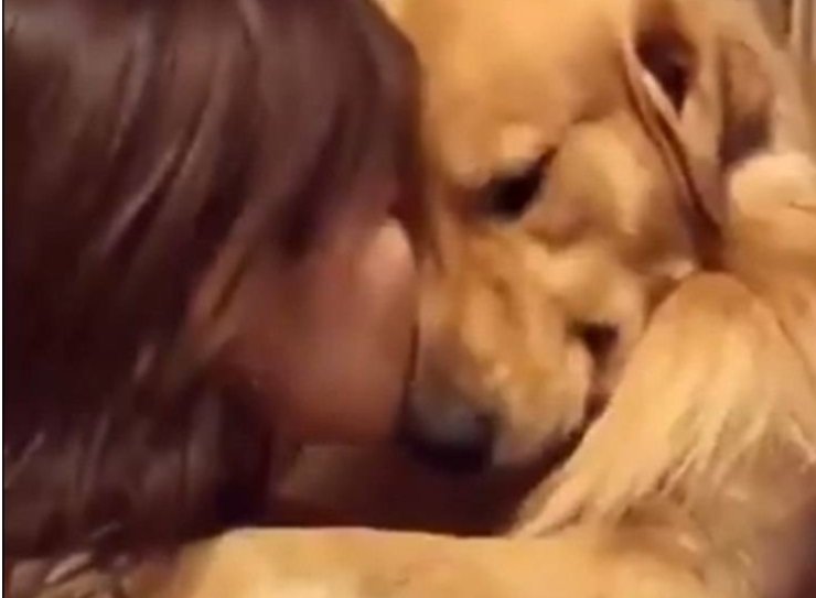 cane emozionato per essere stato adottato abbraccia la nuova proprietaria